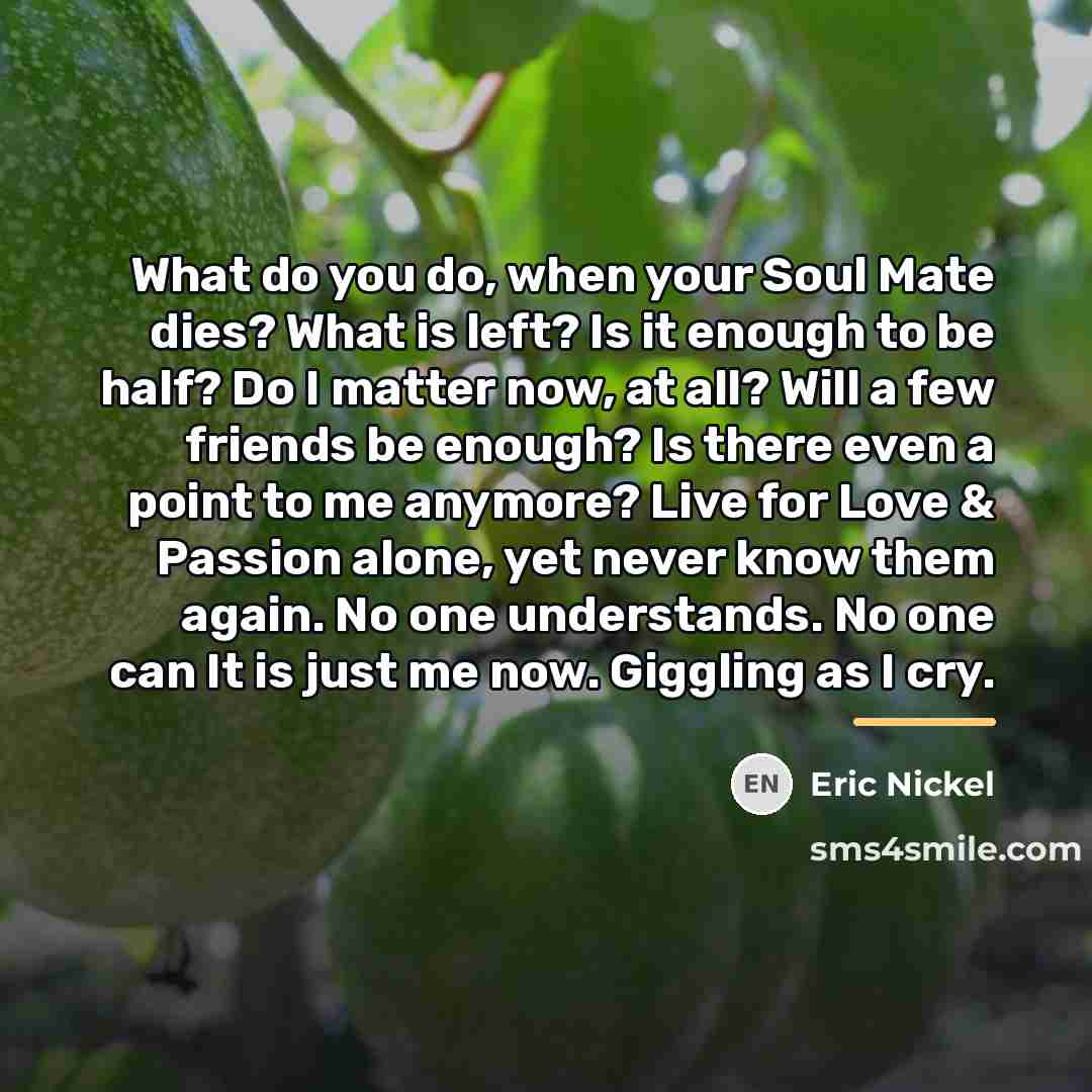“What do you do, when your Soul Mate dies? What…” quote by Eric Nickel
