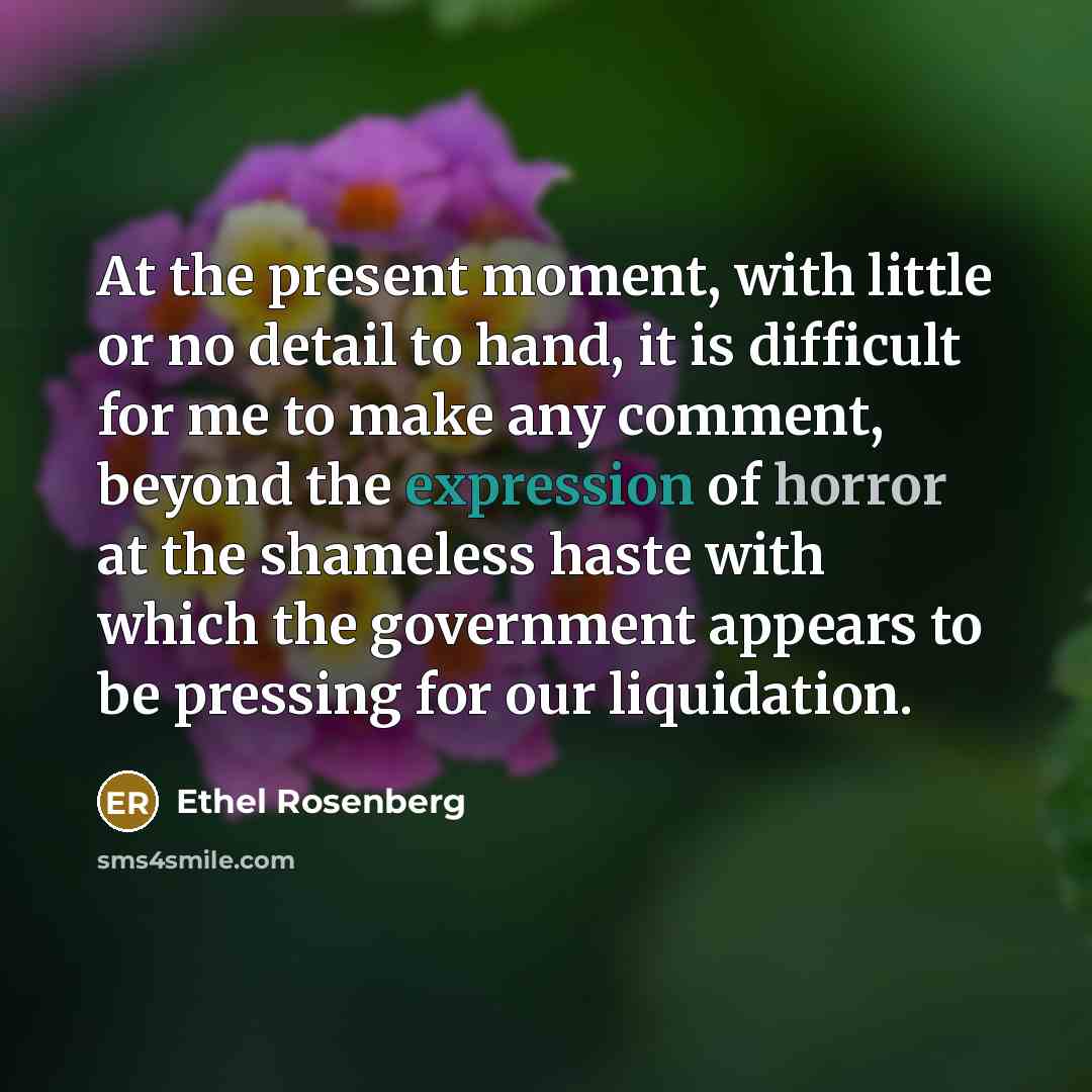“At the present moment, with little or no detail to…” quote by Ethel Rosenberg