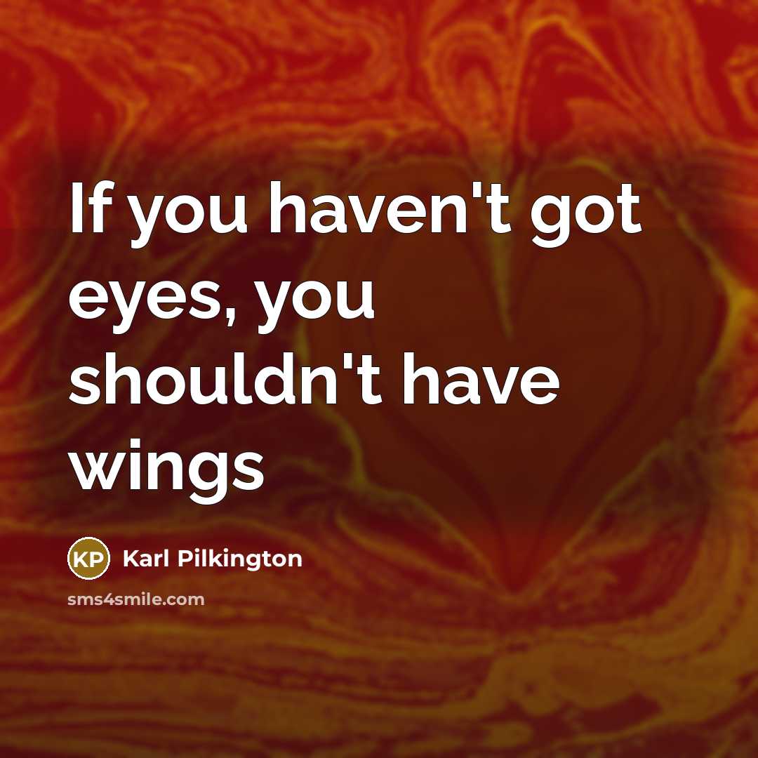 “If you haven't got eyes, you shouldn't have wings…” quote by Karl Pilkington
