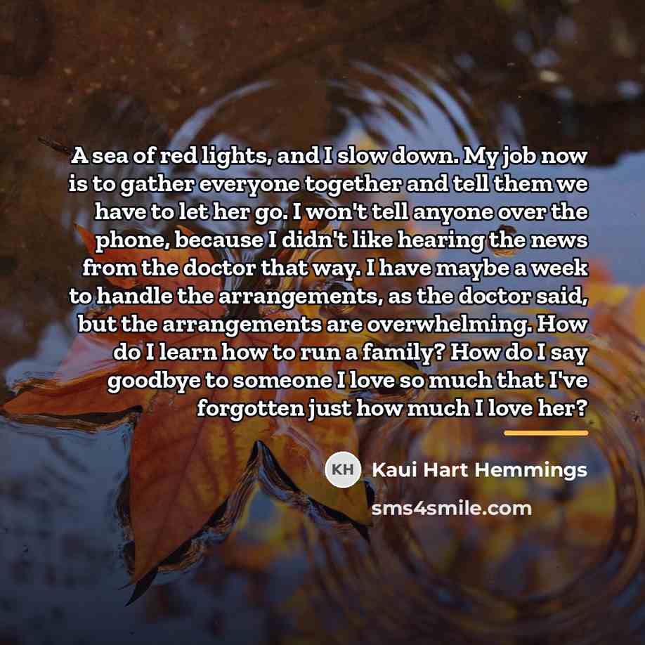 “A sea of red lights, and I slow down. My…” quote by Kaui Hart Hemmings