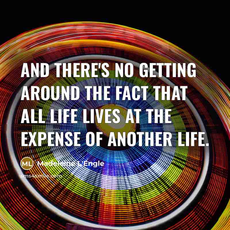 “And there's no getting around the fact that all life…” quote by Madeleine L'Engle