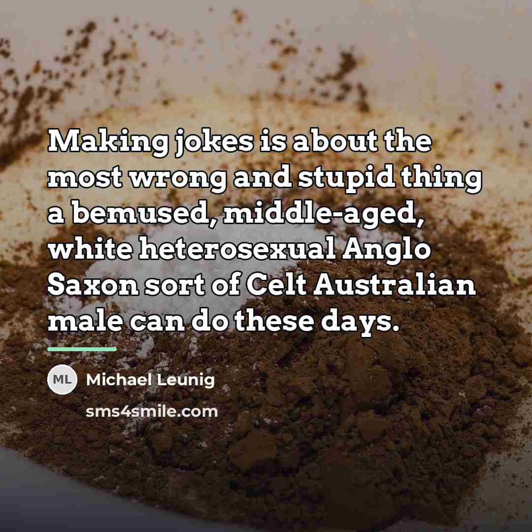 “Making jokes is about the most wrong and stupid thing…” quote by Michael Leunig