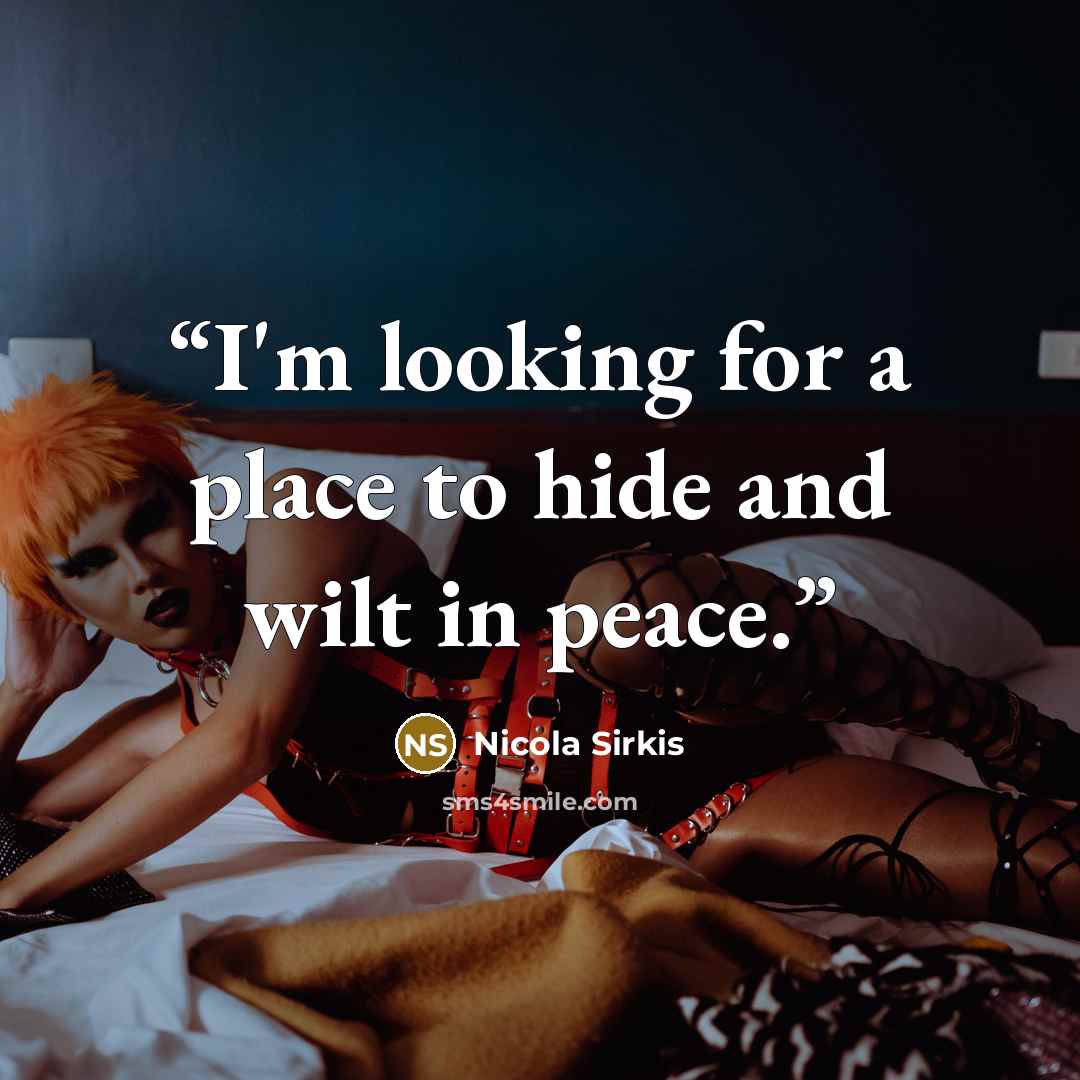“I'm looking for a place to hide and wilt in peace.” quote by Nicola Sirkis