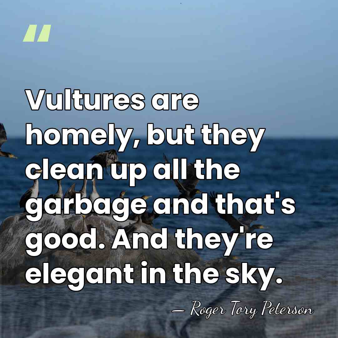 Vultures are homely, but they clean up all the garbage and that's&hellip; - Roger Tory Peterson