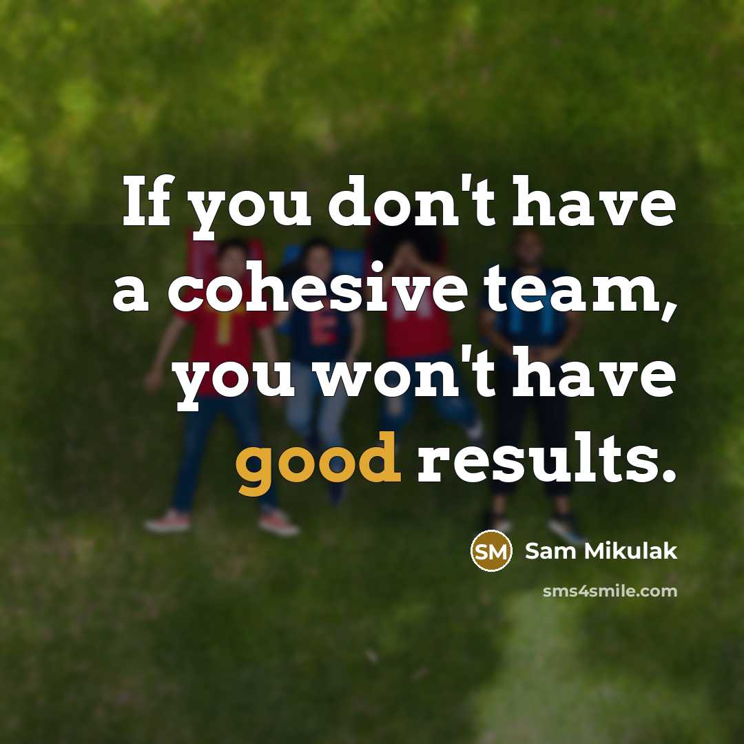 “If you don't have a cohesive team, you won't have good results.” quote by Sam Mikulak