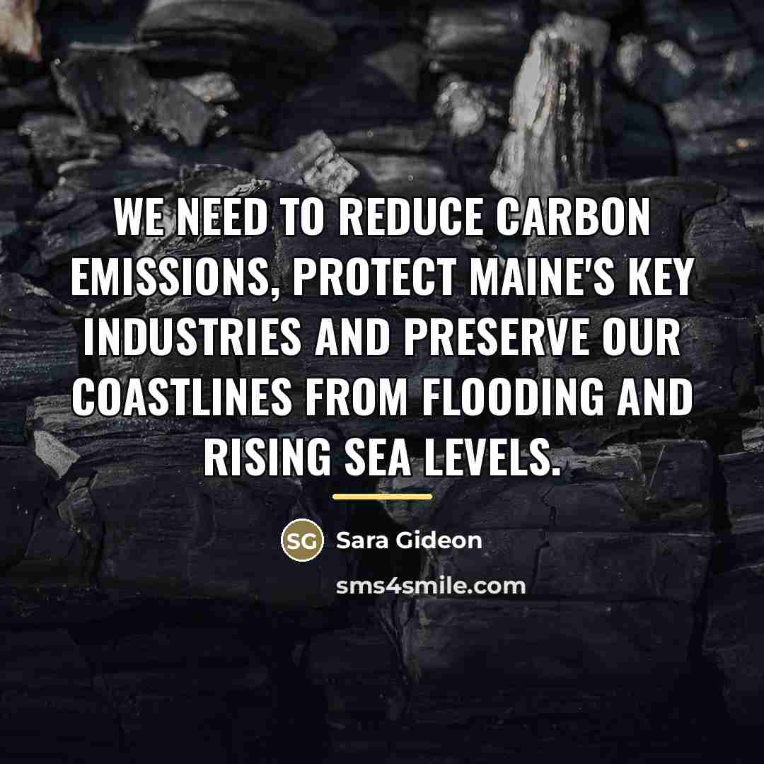 “We need to reduce carbon emissions, protect Maine's key industries…” quote by Sara Gideon