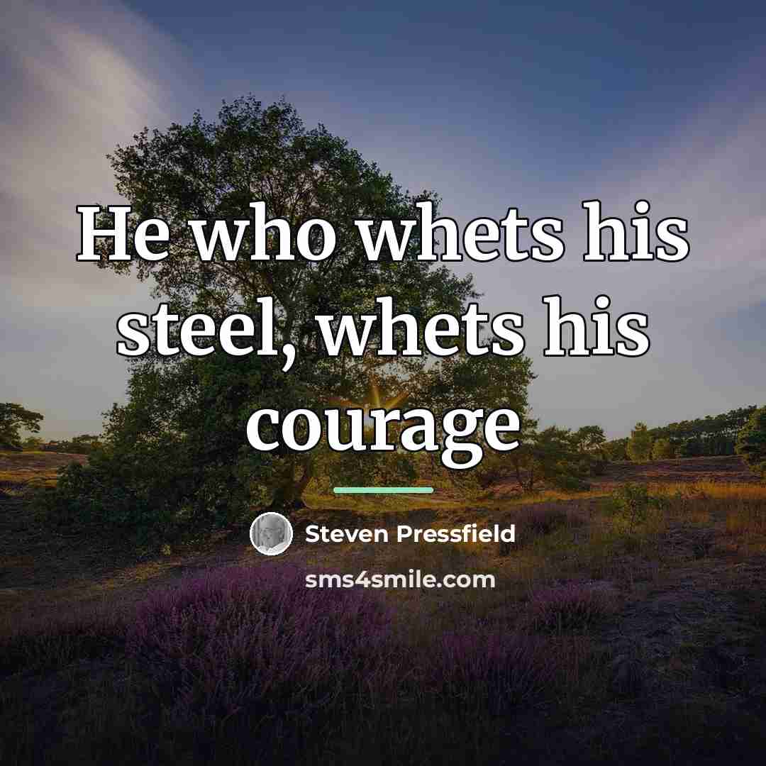 “He who whets his steel, whets his courage…” quote by Steven Pressfield