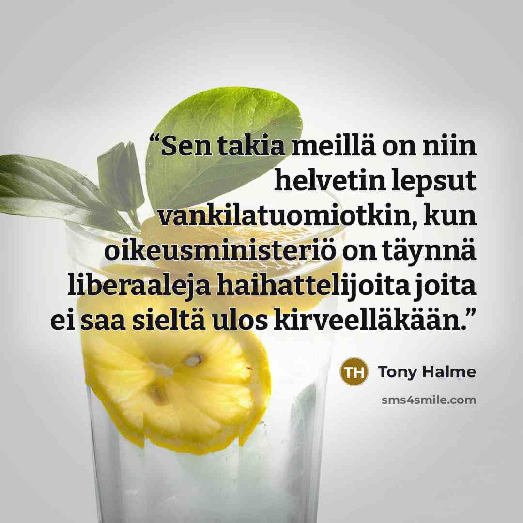 “Sen takia meillä on niin helvetin lepsut vankilatuomiotkin, kun oikeusministeriö on täynnä liberaaleja haihattelijoita joita ei saa sieltä ulos kirveelläkään.” quote by Tony Halme