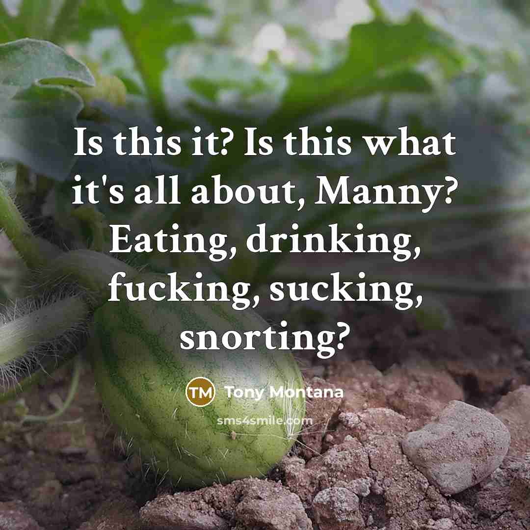 “Is this it? Is this what it's all about, Manny?…” quote by Tony Montana