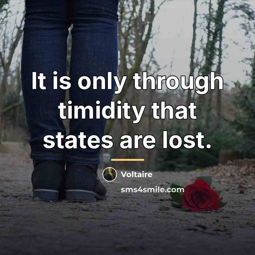 “It is only through timidity that states are lost.…” quote by Voltaire