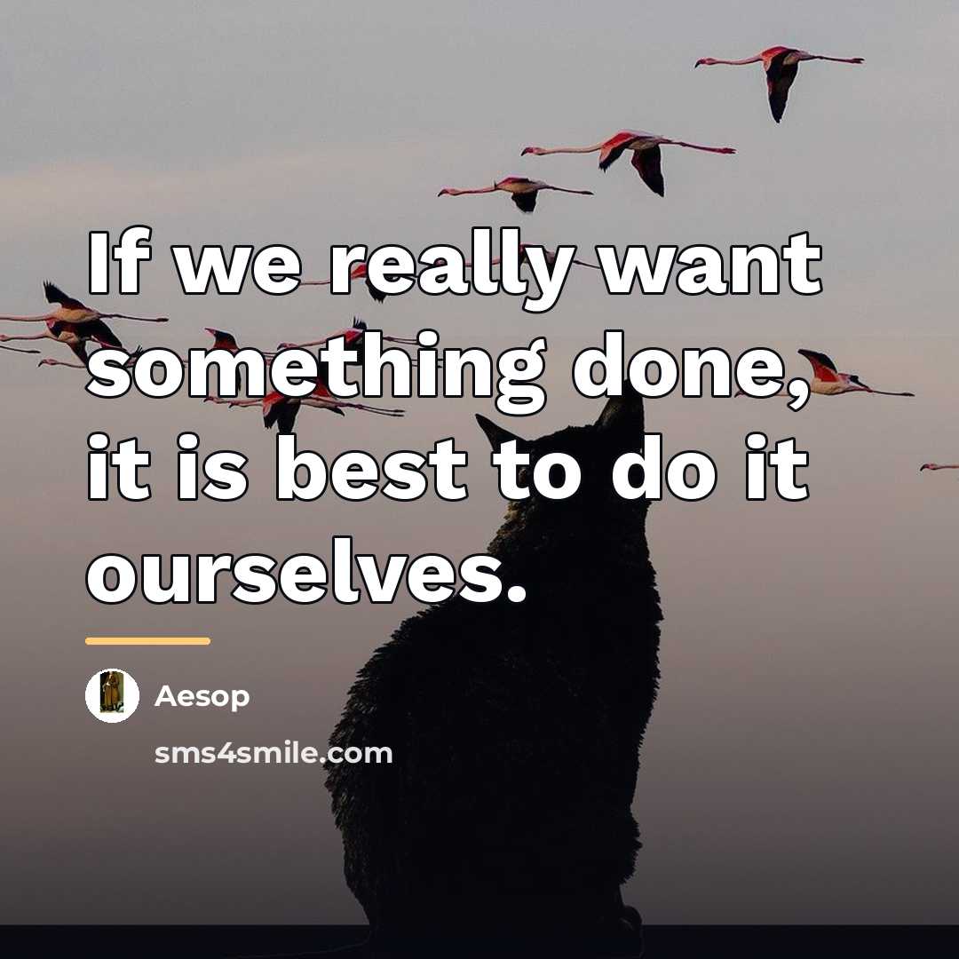 “If we really want something done, it is best to…” quote by Aesop