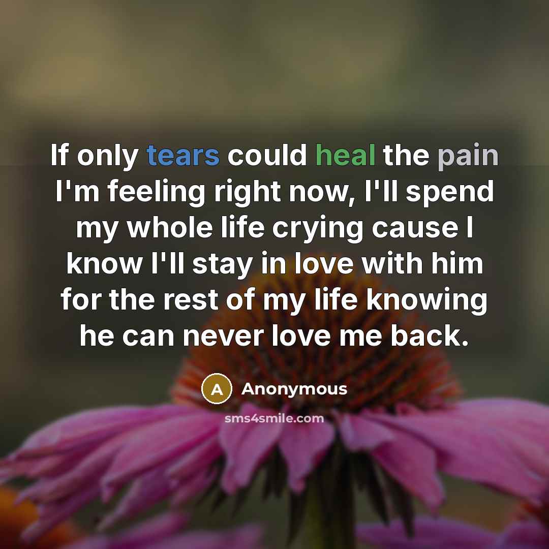 “If only tears could heal the pain I'm feeling right…” quote by Anonymous