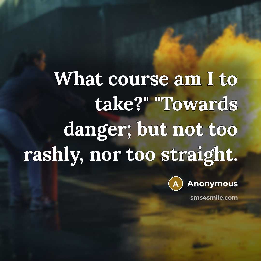 “What course am I to take?" "Towards danger; but not too rashly, nor too straight.” quote by Anonymous