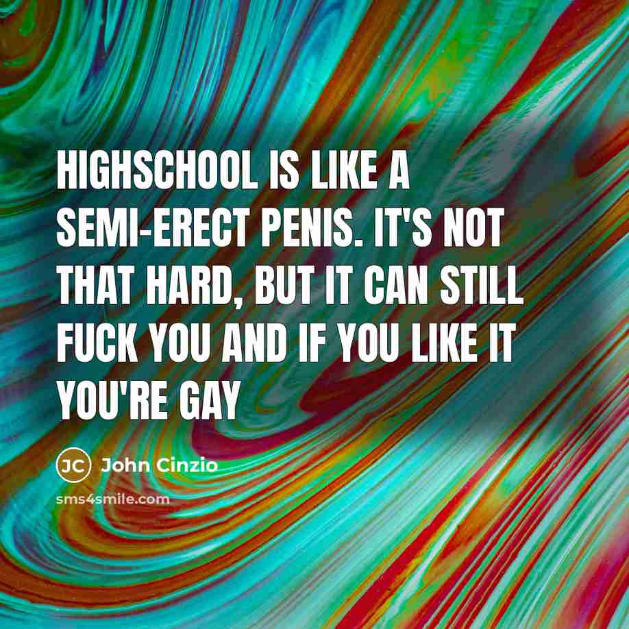 “Highschool is like a semi-erect penis. It's not THAT hard, but it can still fuck you and if you like it you're gay” quote by John Cinzio