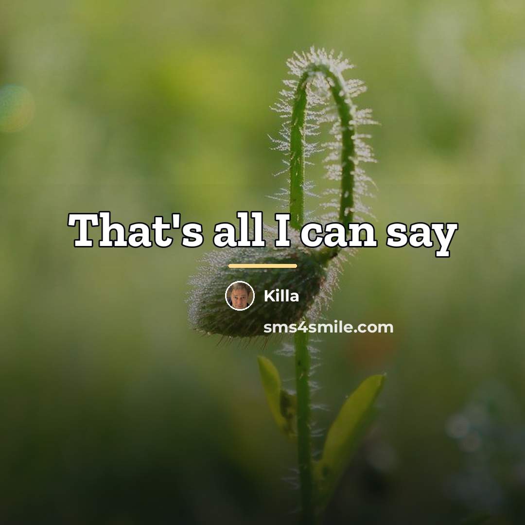 “That's all I can say…” quote by Killa