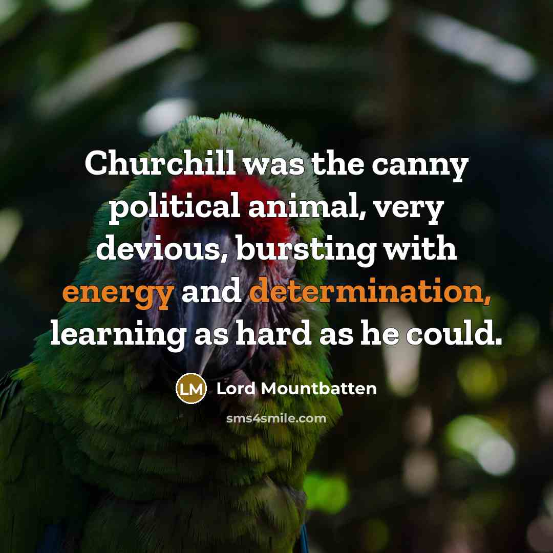 “Churchill was the canny political animal, very devious, bursting with…” quote by Lord Mountbatten