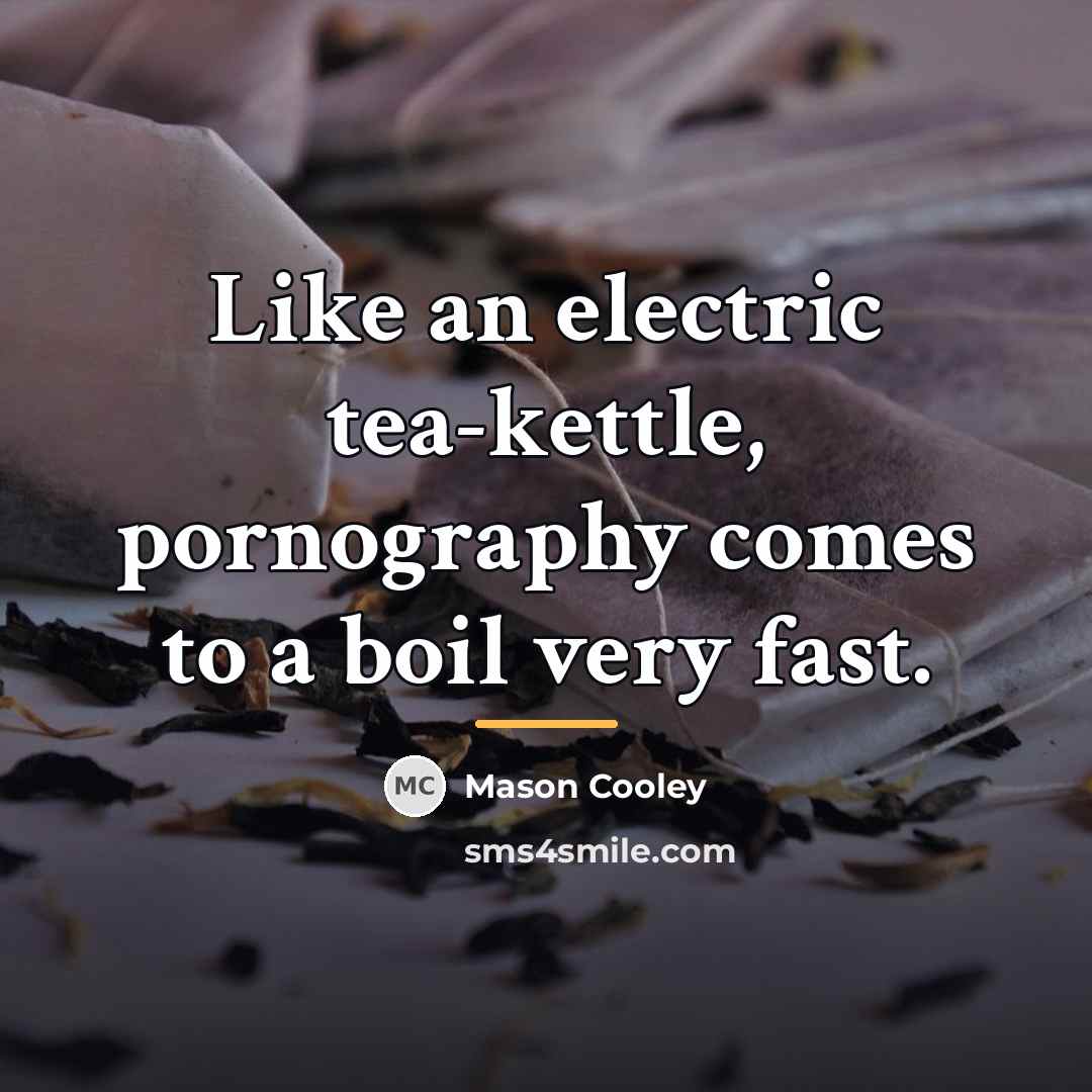 “Like an electric tea-kettle, pornography comes to a boil very…” quote by Mason Cooley