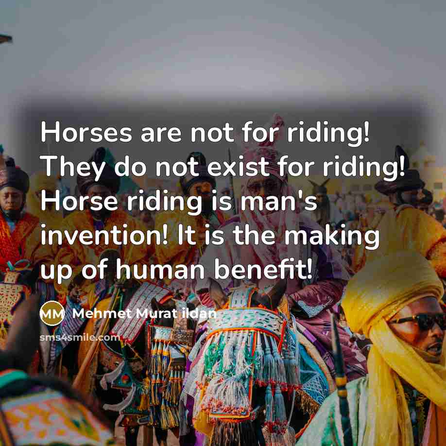 “Horses are not for riding! They do not exist for…” quote by Mehmet Murat Ildan