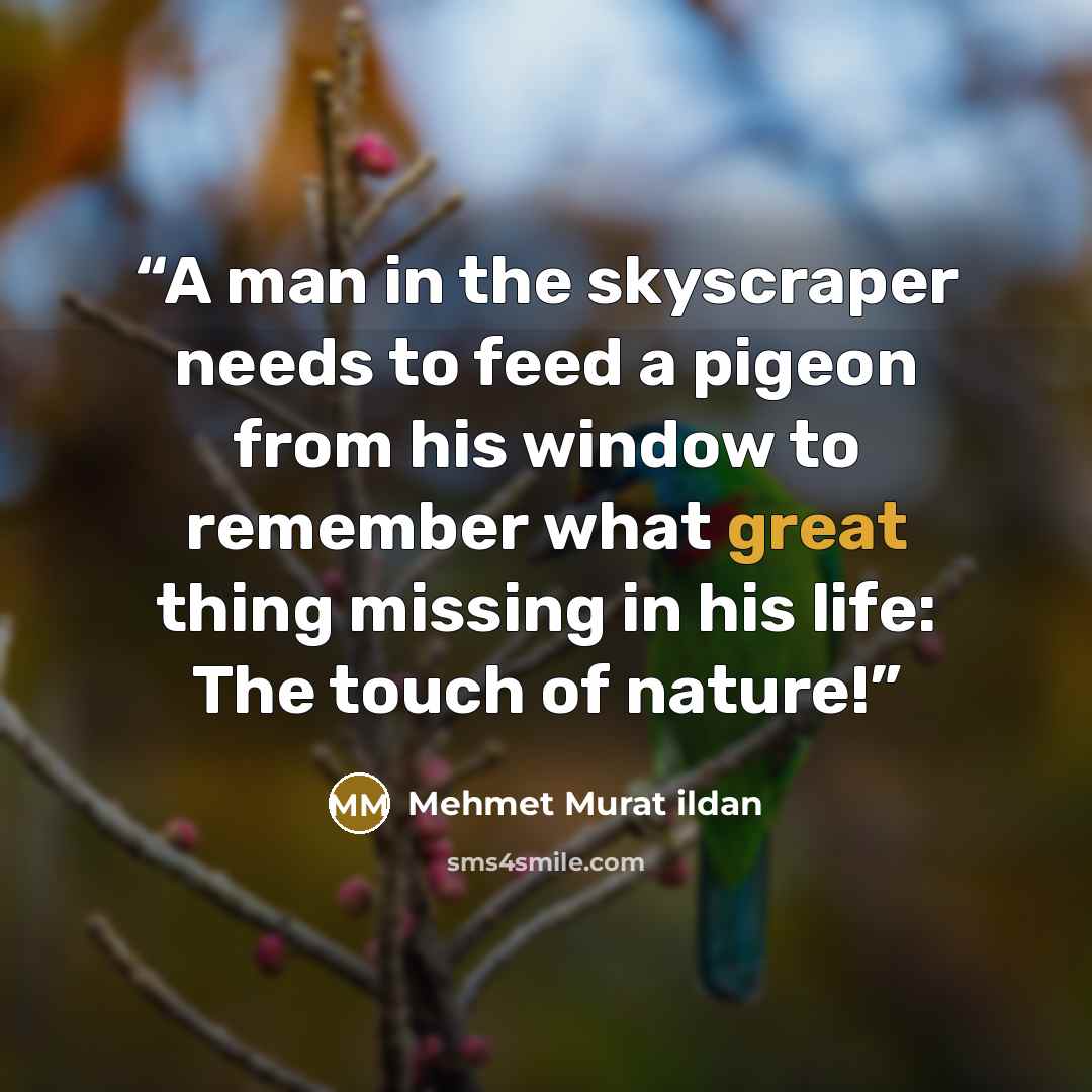 “A man in the skyscraper needs to feed a pigeon from his window to remember what great thing missing in his life: The touch of nature!” quote by Mehmet Murat ildan