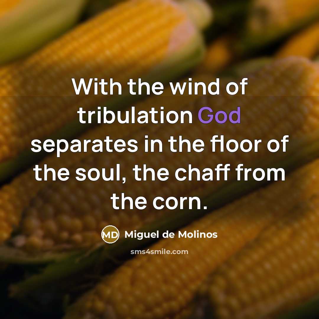 “With the wind of tribulation God separates in the floor…” quote by Miguel de Molinos