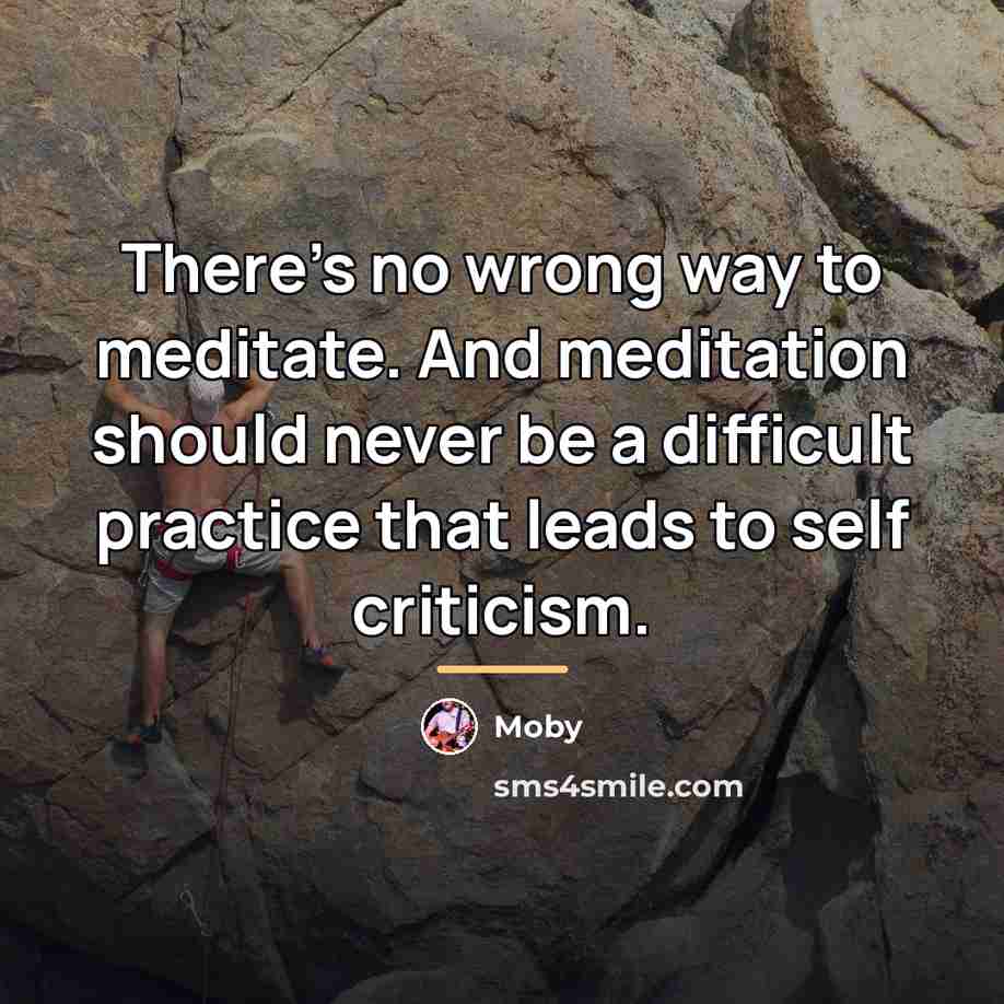 “There's no wrong way to meditate. And meditation should never…” quote by Moby