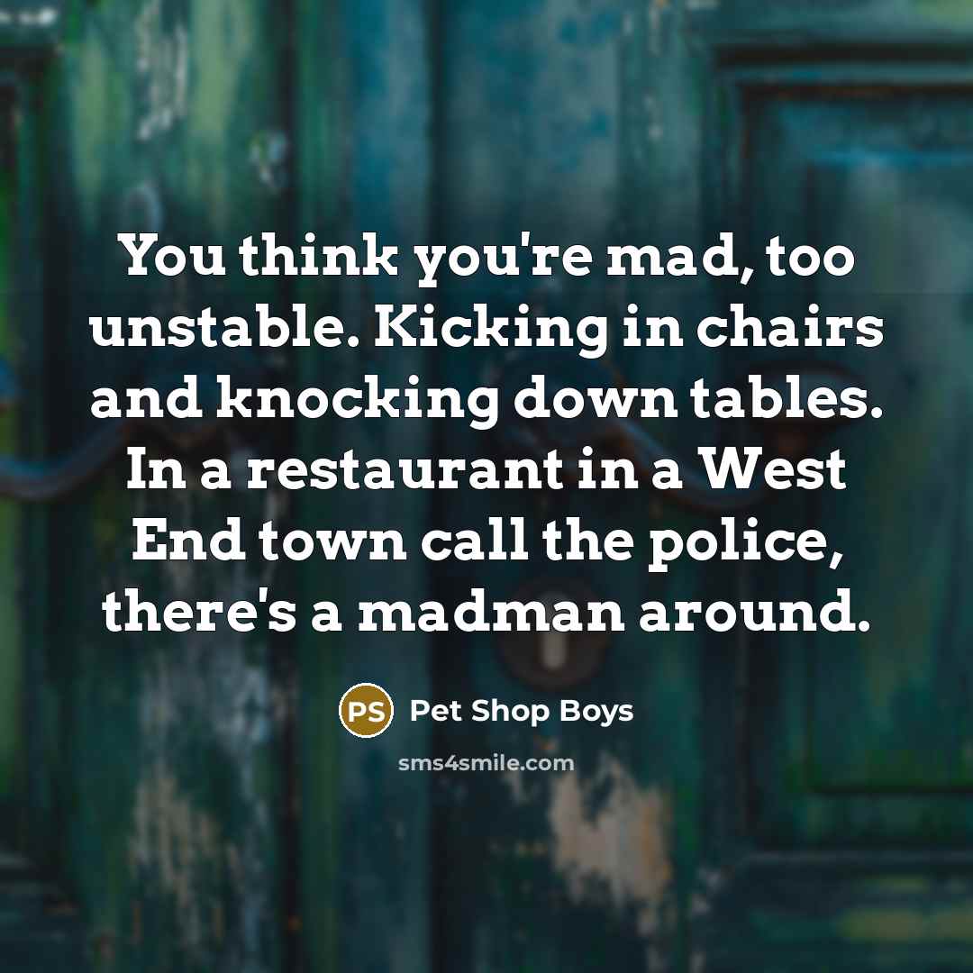 “You think you're mad, too unstable. Kicking in chairs and…” quote by Pet Shop Boys