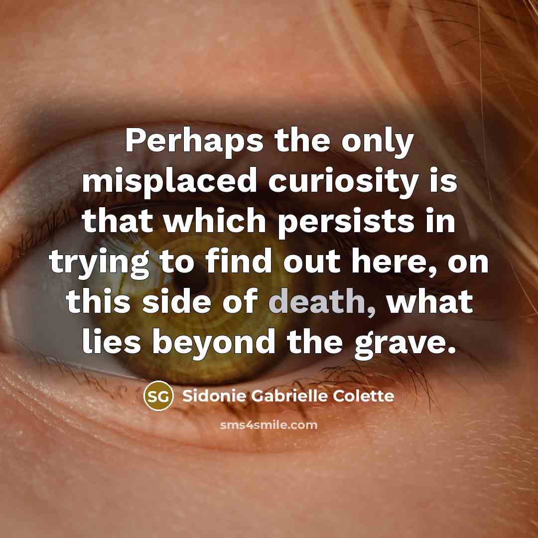 “Perhaps the only misplaced curiosity is that which persists in…” quote by Sidonie Gabrielle Colette