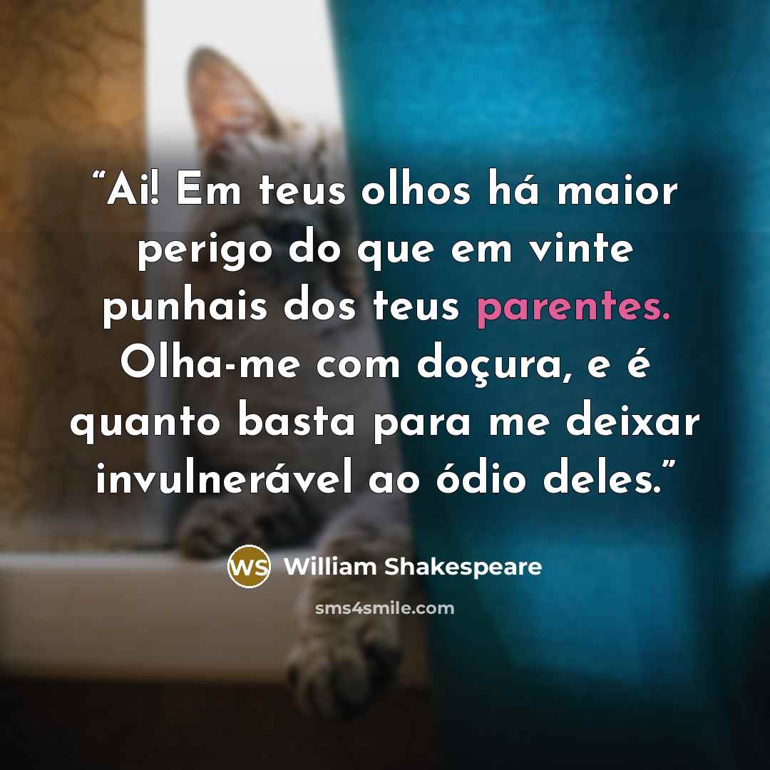 “Ai! Em teus olhos há maior perigo do que em vinte punhais dos teus parentes. Olha-me com doçura, e é quanto basta para me deixar invulnerável ao ódio deles.” quote by William Shakespeare