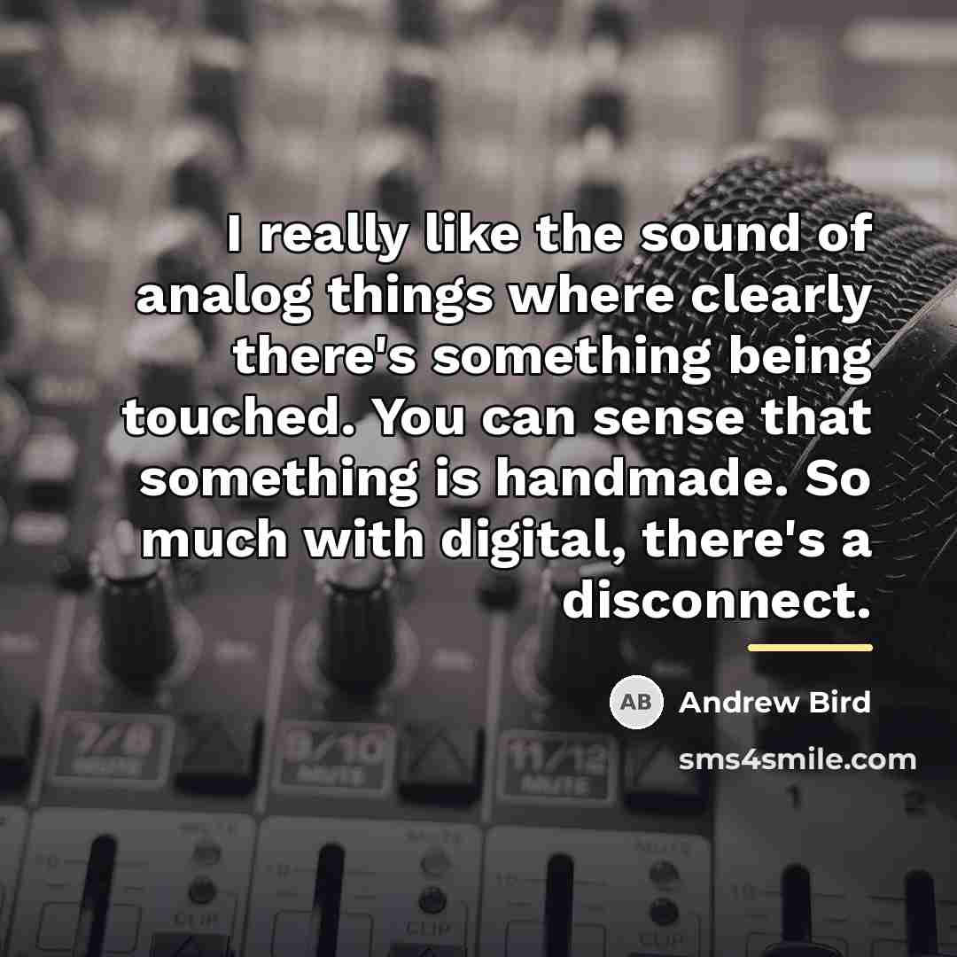 “I really like the sound of analog things where clearly…” quote by Andrew Bird