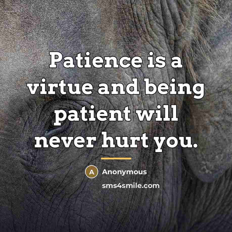 “Patience is a virtue and being patient will never hurt…” quote by Anonymous
