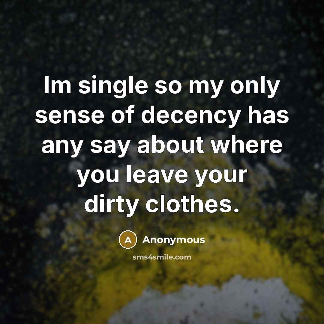 “Im single so my only sense of decency has any say about where you leave your dirty clothes.” quote by Anonymous