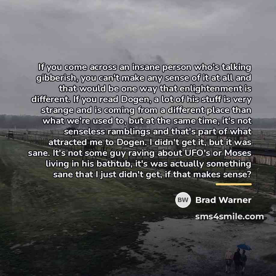 “If you come across an insane person who's talking gibberish,…” quote by Brad Warner