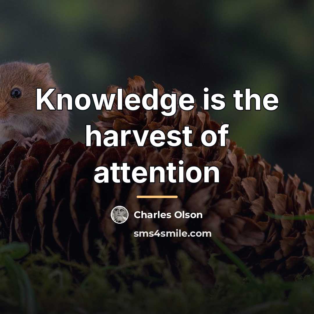 “Knowledge is the harvest of attention…” quote by Charles Olson