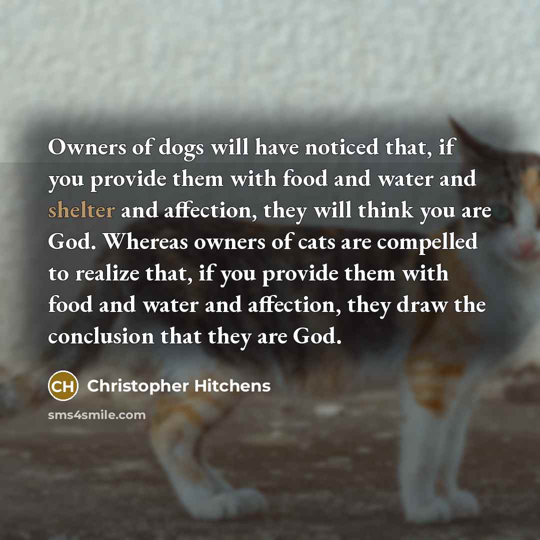 “Owners of dogs will have noticed that, if you provide…” quote by Christopher Hitchens