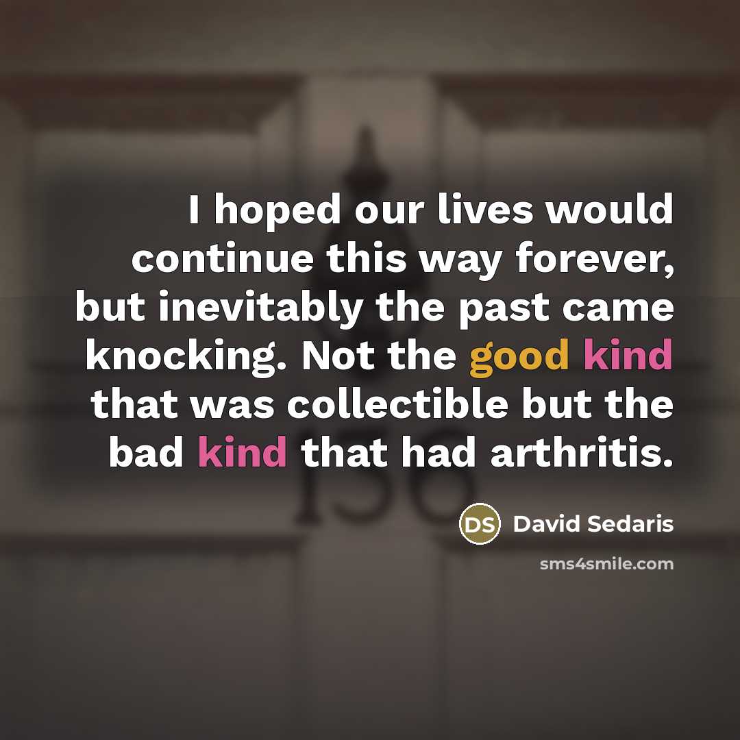 “I hoped our lives would continue this way forever, but…” quote by David Sedaris