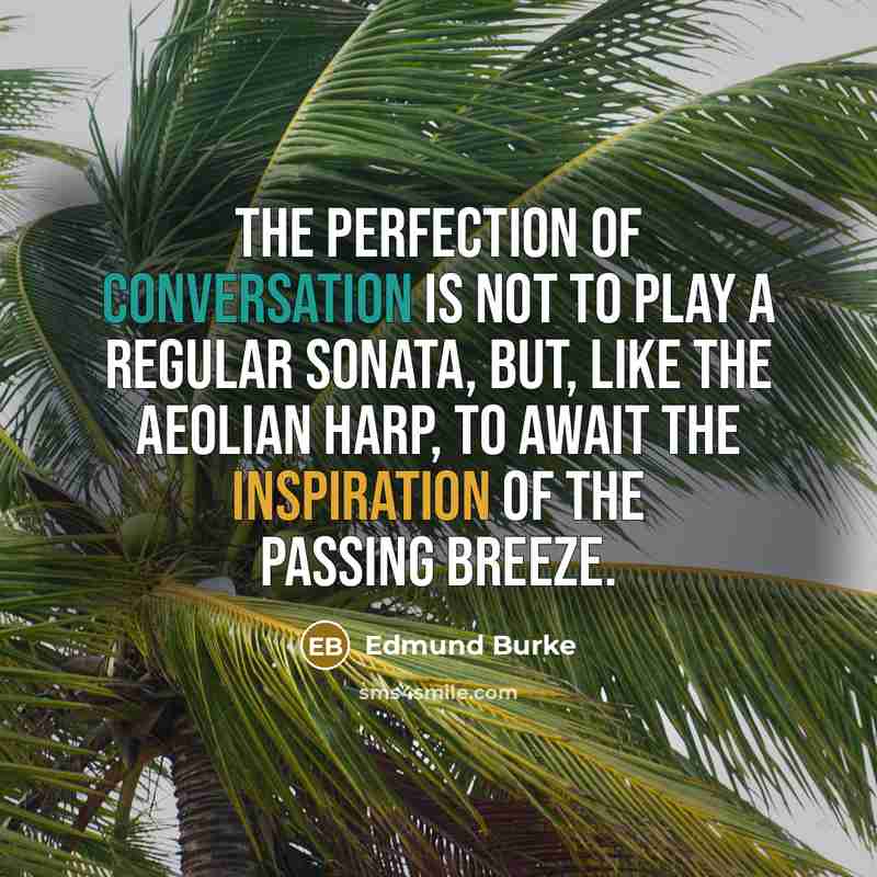 “The perfection of conversation is not to play a regular…” quote by Edmund Burke
