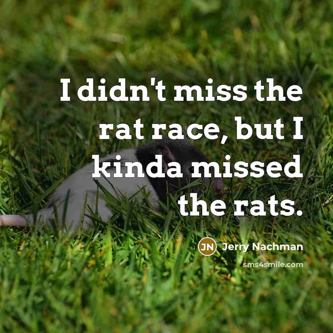 “I didn't miss the rat race, but I kinda missed the rats.” quote by Jerry Nachman