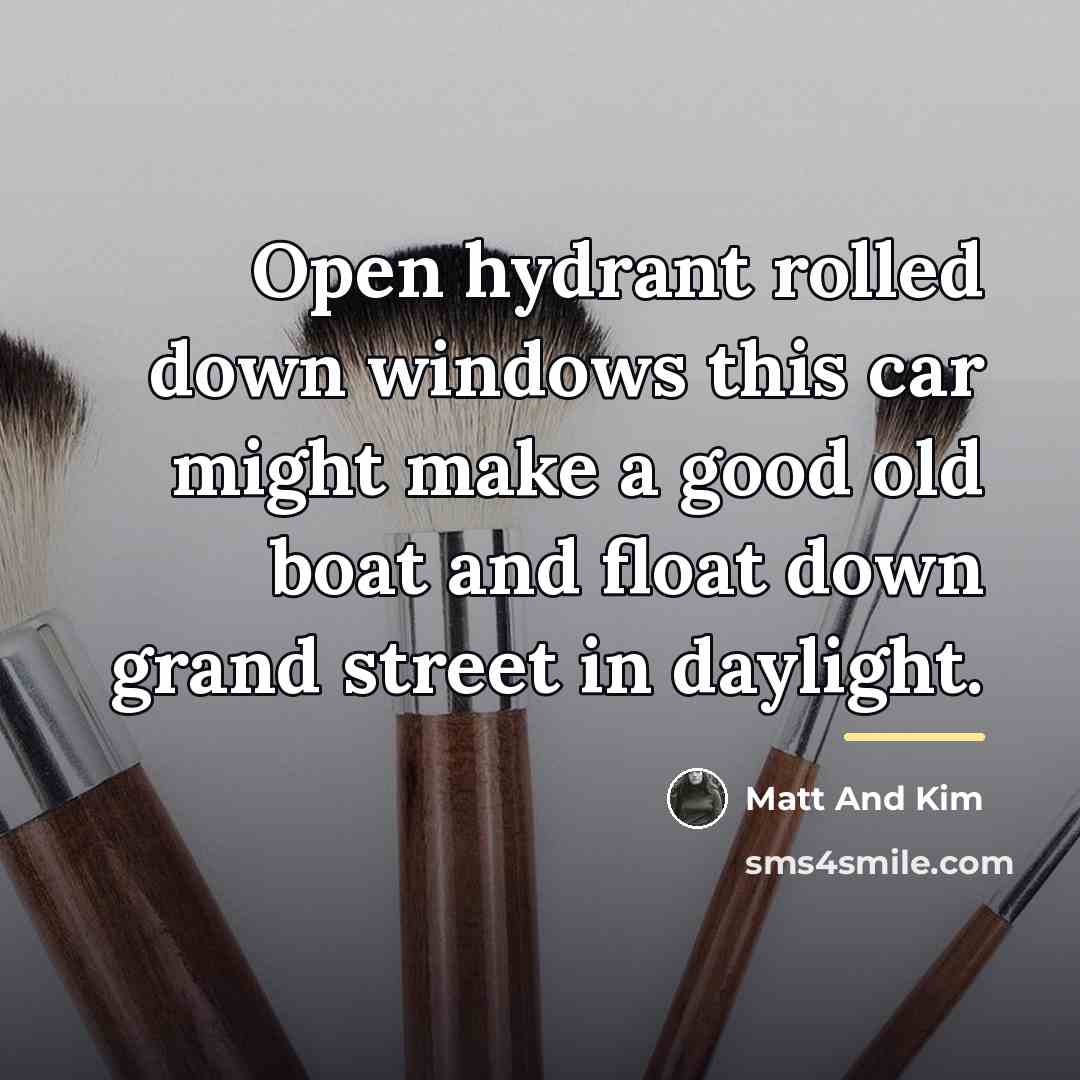 “Open hydrant rolled down windows this car might make a…” quote by Matt And Kim
