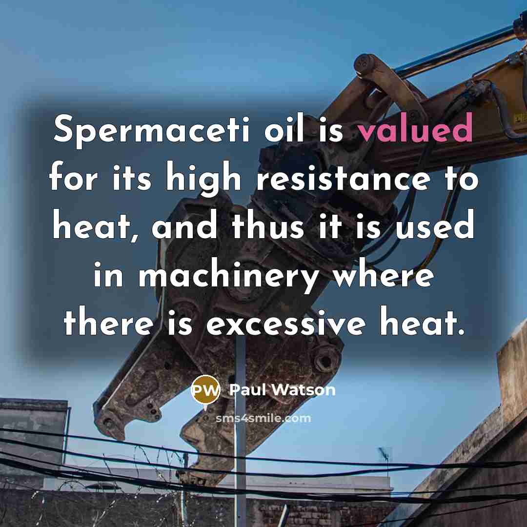 “Spermaceti oil is valued for its high resistance to heat,…” quote by Paul Watson