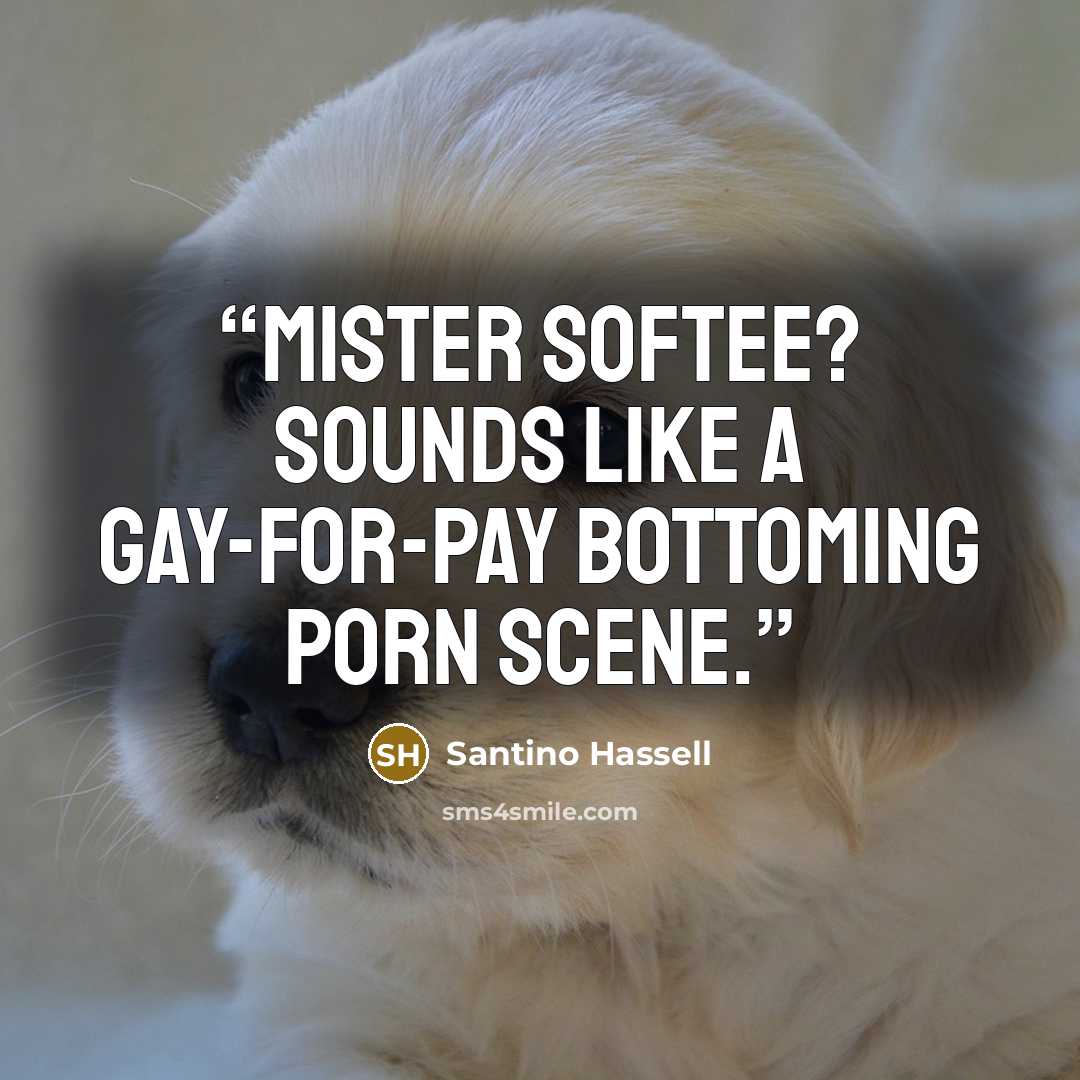 “Mister Softee? Sounds like a gay-for-pay bottoming porn scene.” quote by Santino Hassell