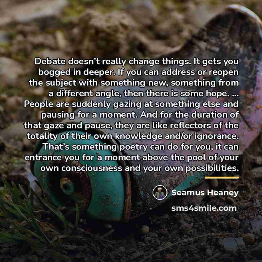 “Debate doesn’t really change things. It gets you bogged in…” quote by Seamus Heaney