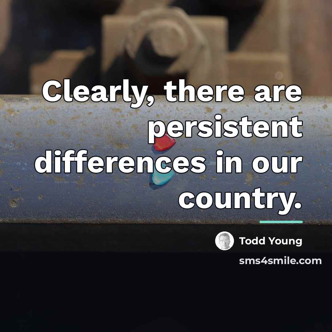 “Clearly, there are persistent differences in our country.…” quote by Todd Young