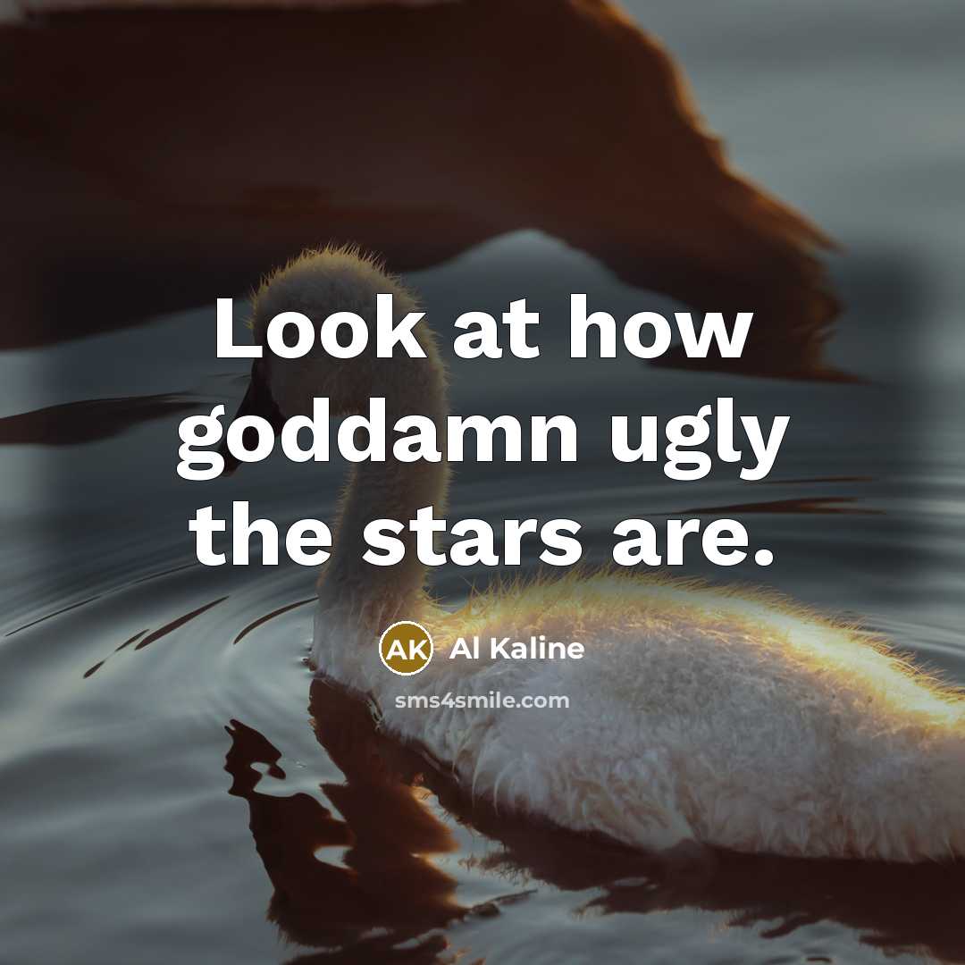 “Look at how goddamn ugly the stars are.…” quote by Al Kaline