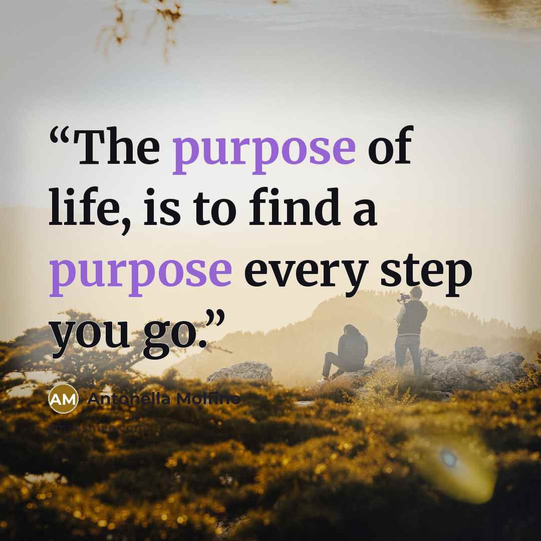 “The purpose of life, is to find a purpose every step you go.” quote by Antonella Molfino