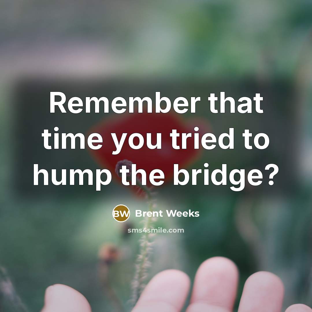 “Remember that time you tried to hump the bridge?…” quote by Brent Weeks