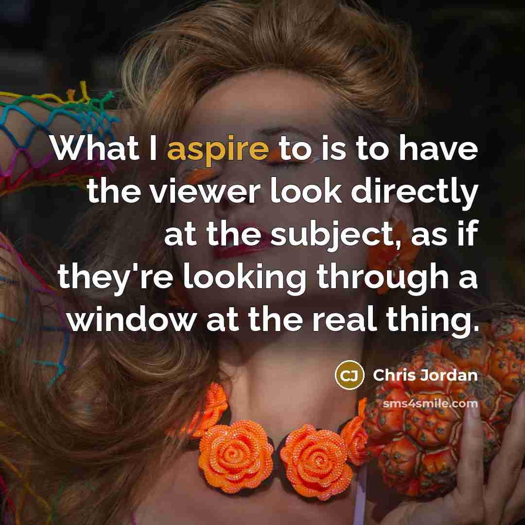 “What I aspire to is to have the viewer look…” quote by Chris Jordan