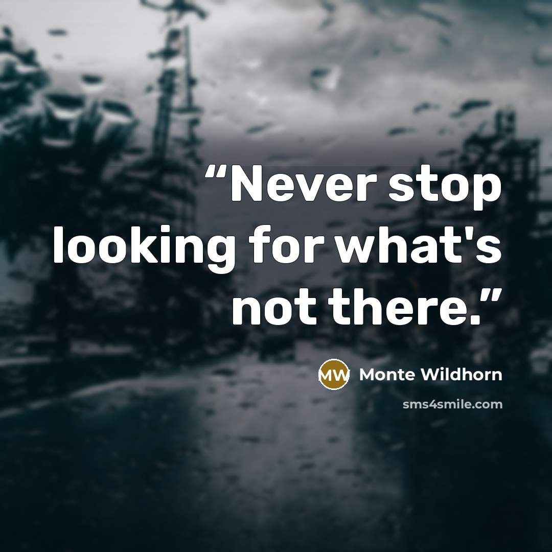 “Never stop looking for what's not there.” quote by Monte Wildhorn