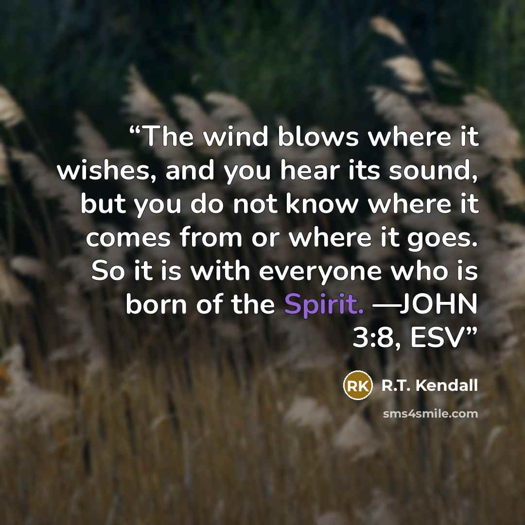 “The wind blows where it wishes, and you hear its sound, but you do not know where it comes from or where it goes. So it is with everyone who is born of the Spirit. —JOHN 3:8, ESV” quote by R.T. Kendall