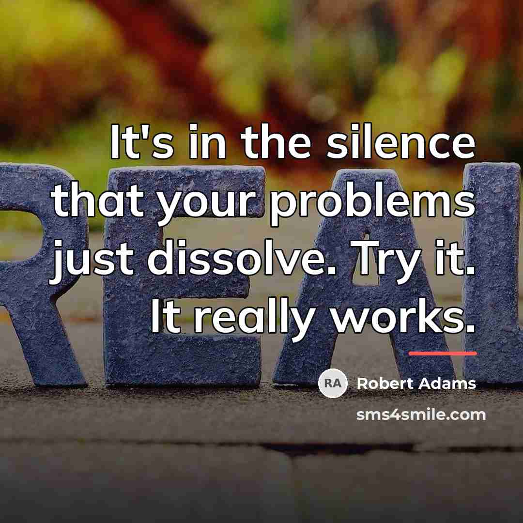 “It's in the silence that your problems just dissolve. Try…” quote by Robert Adams