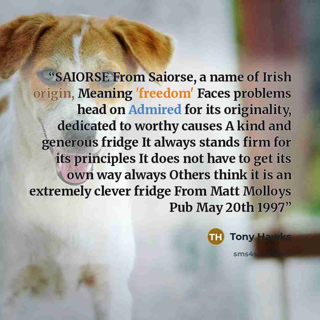 “SAIORSE From Saiorse, a name of Irish origin, Meaning 'freedom' Faces problems head on Admired for its originality, dedicated to worthy causes A kind and generous fridge It always stands firm for its principles It does not have to get its own way always Others think it is an extremely clever…” quote by Tony Hawks